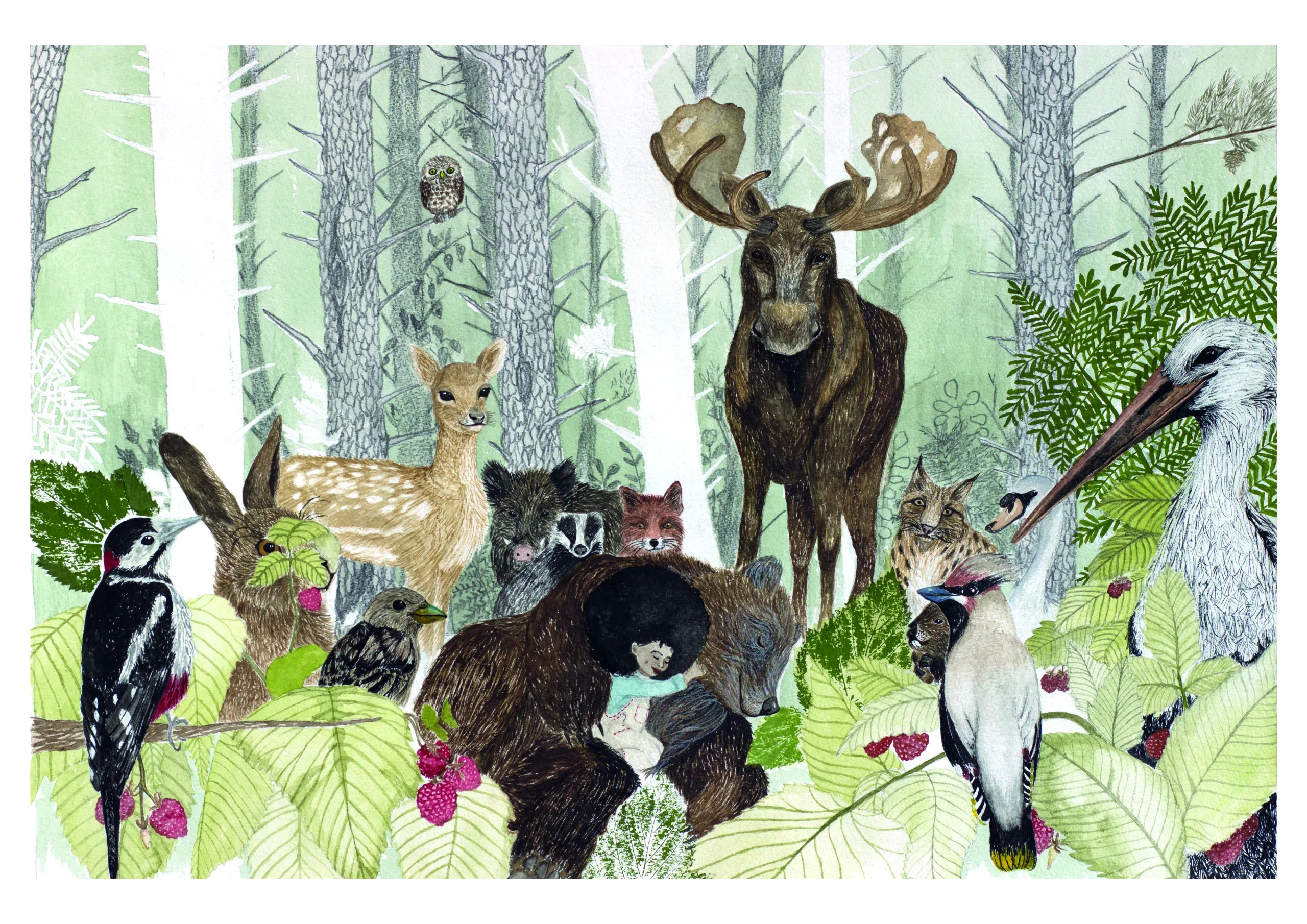 Detailreiche Waldszene mit Bär, Elch, Reh, Fuchs, Dachs und mehreren Vögeln. In der Mitte ruht ein Kind im Arm des Bären, umgeben von Beeren und Blättern.
